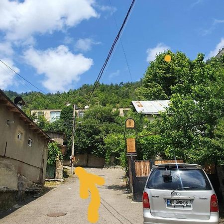 Nari Apartment Боржоми Экстерьер фото